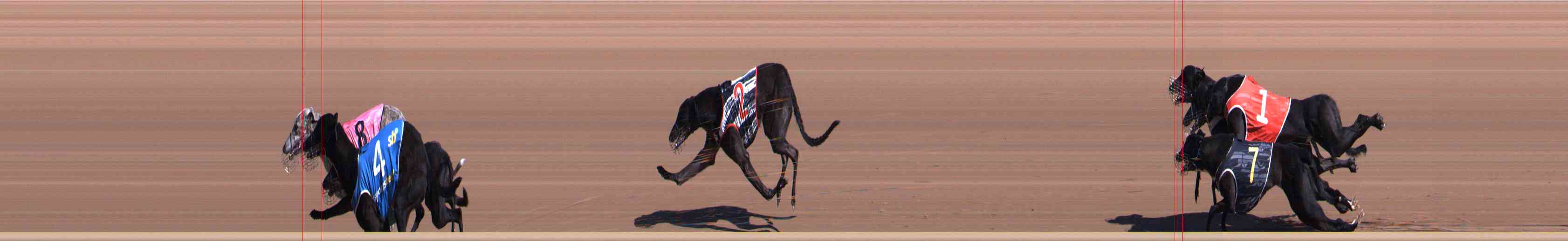Photo finish for Healesville Race 3