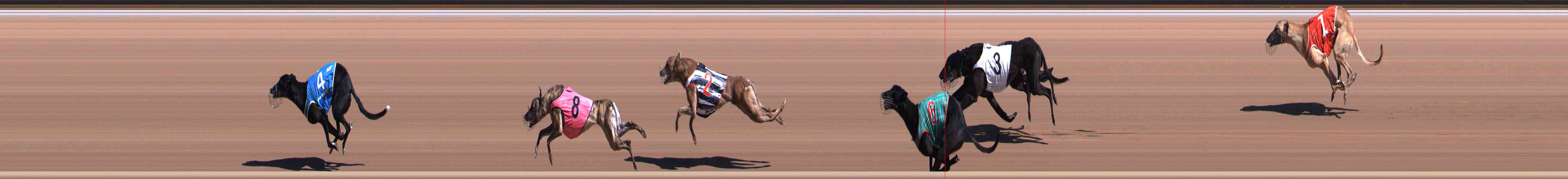 Photo finish for Healesville Race 4