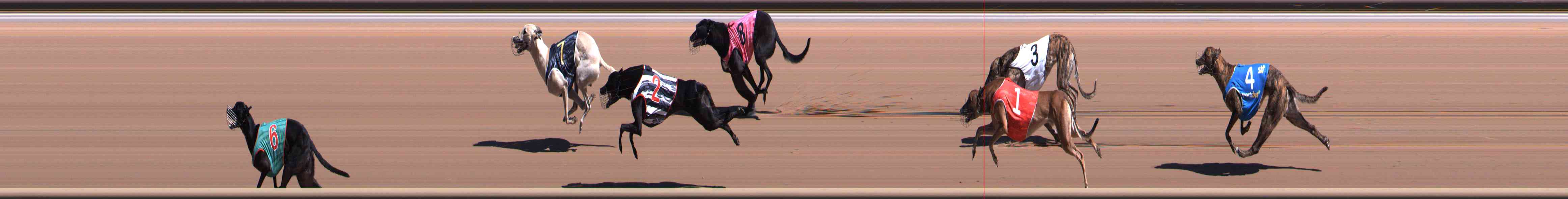 Photo finish for Healesville Race 5