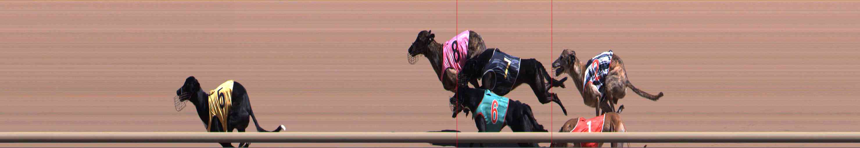 Photo finish for Healesville Race 6