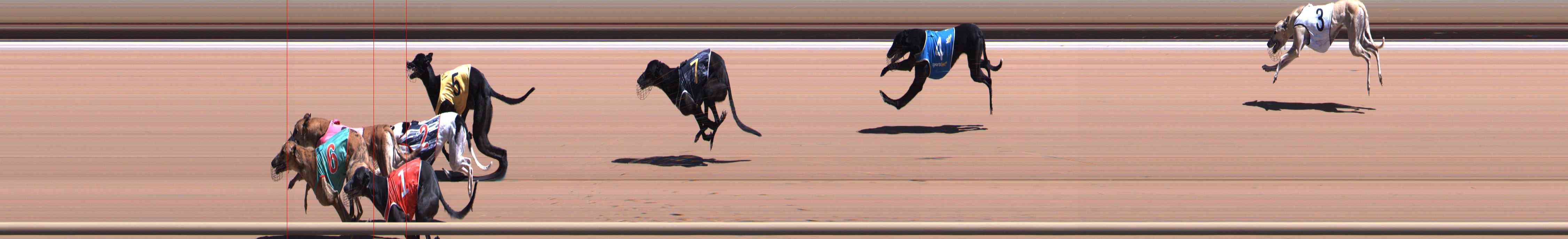 Photo finish for Healesville Race 7