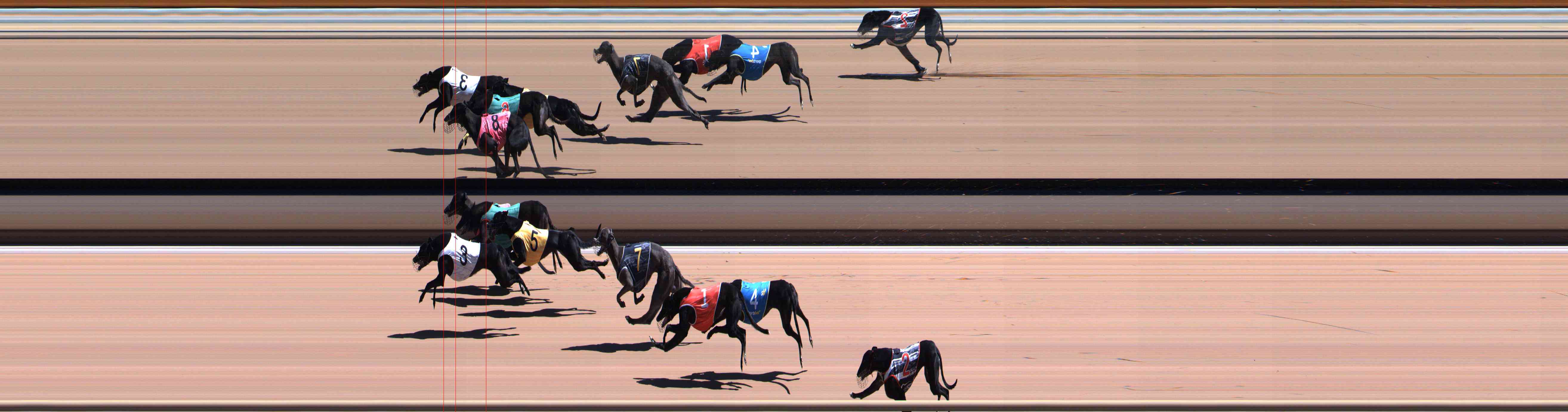Photo finish for Healesville Race 9