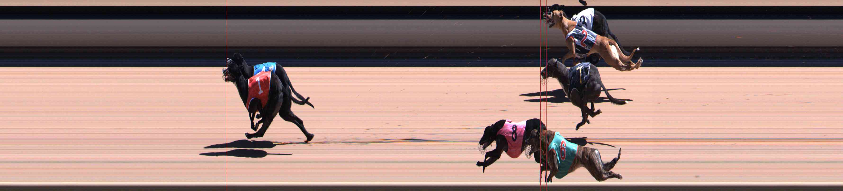 Photo finish for Healesville Race 10