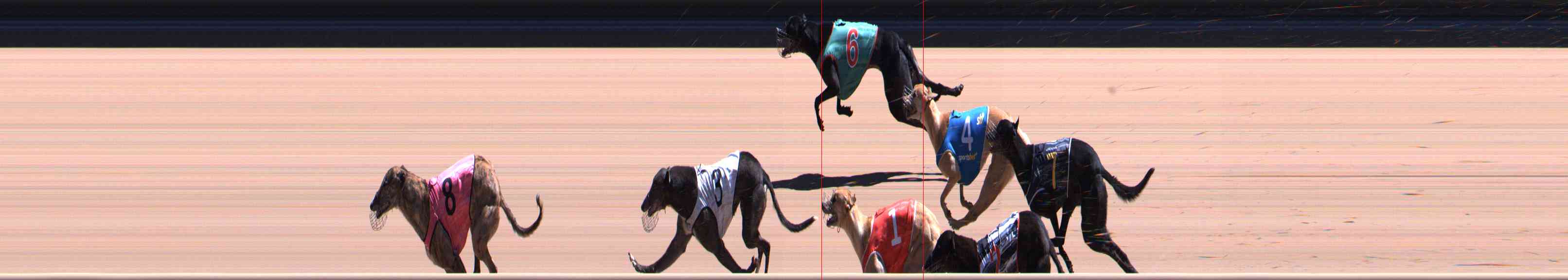 Photo finish for Healesville Race 11