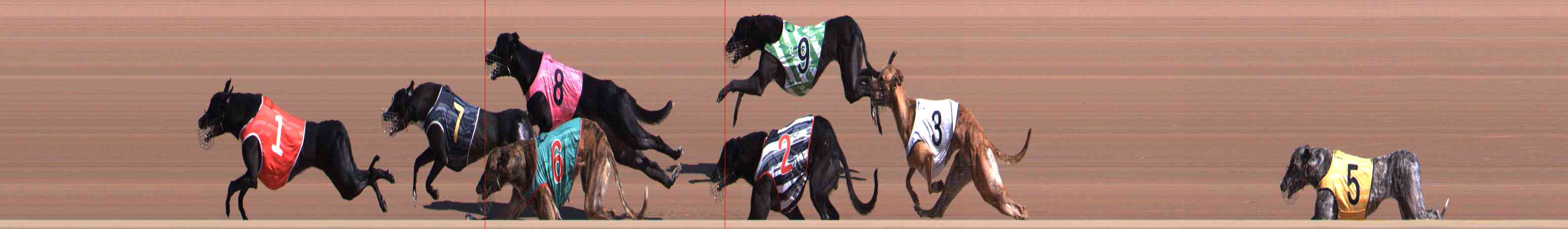 Photo finish for Healesville Race 1