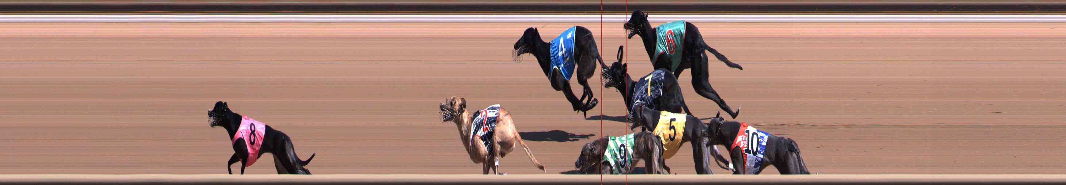 Photo finish for Healesville Race 2