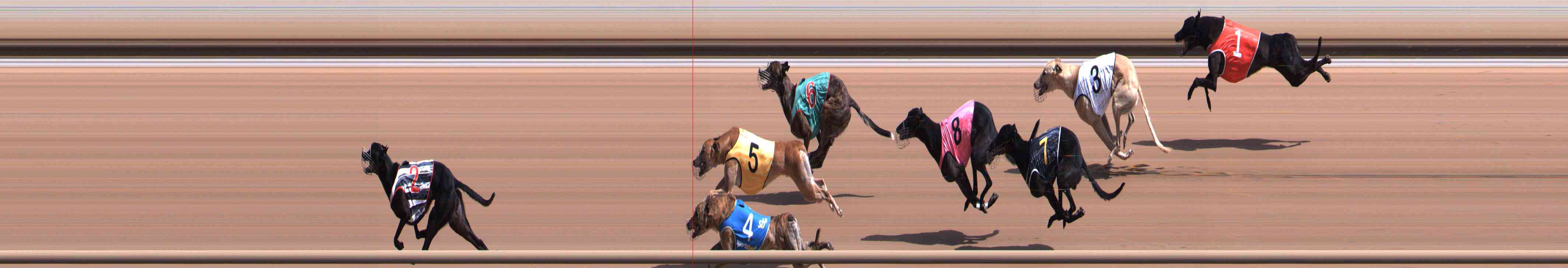 Photo finish for Healesville Race 3