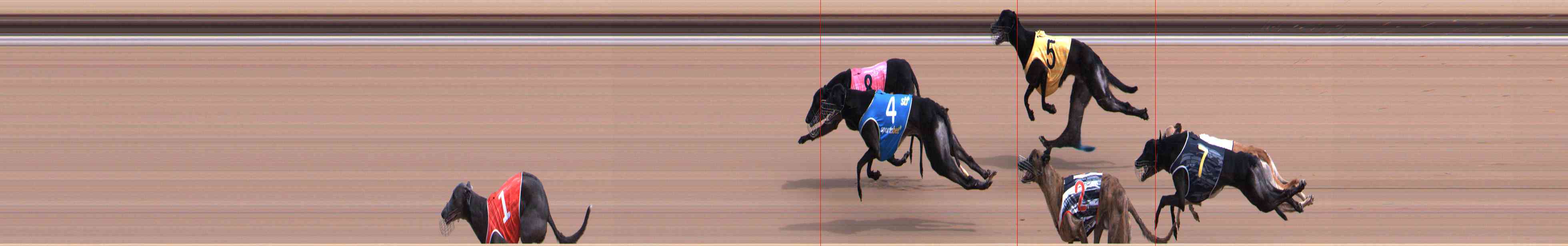 Photo finish for Healesville Race 4