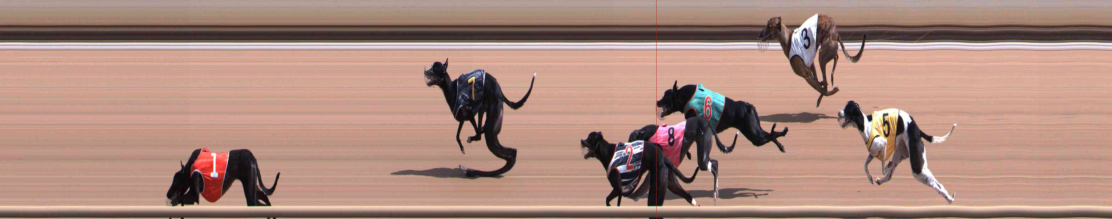 Photo finish for Healesville Race 5