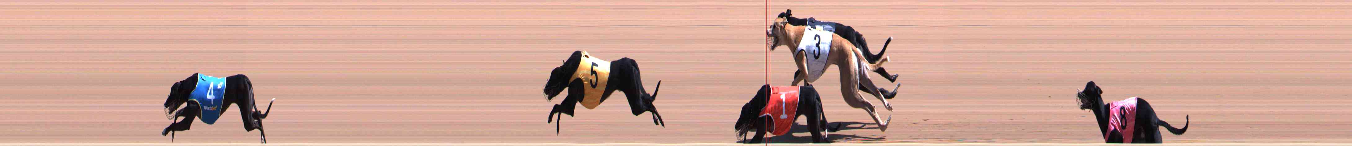 Photo finish for Healesville Race 6