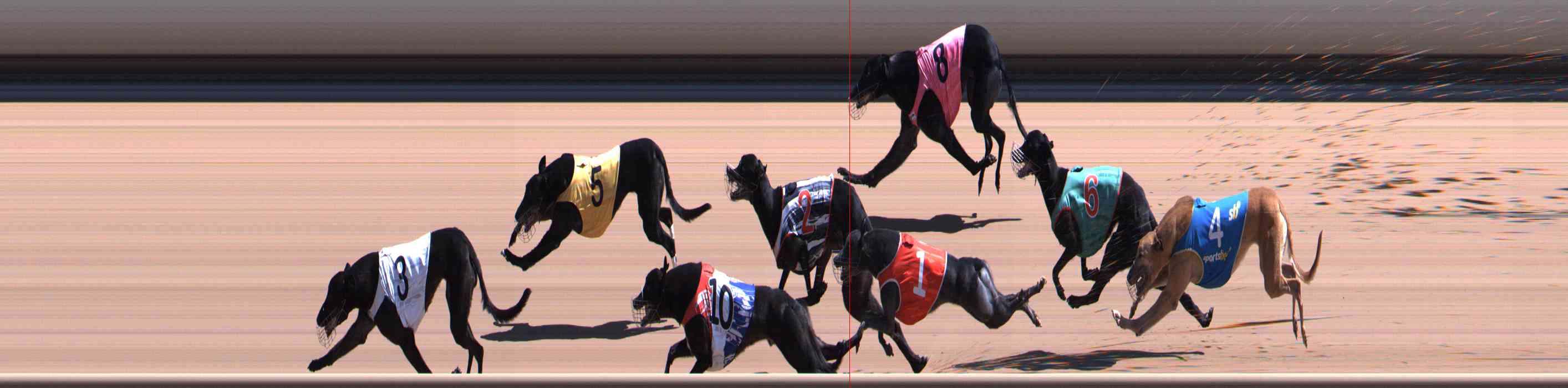 Photo finish for Healesville Race 7