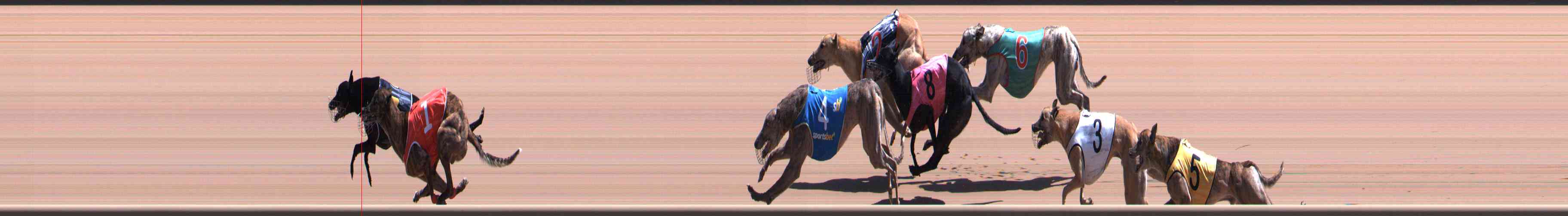Photo finish for Healesville Race 8