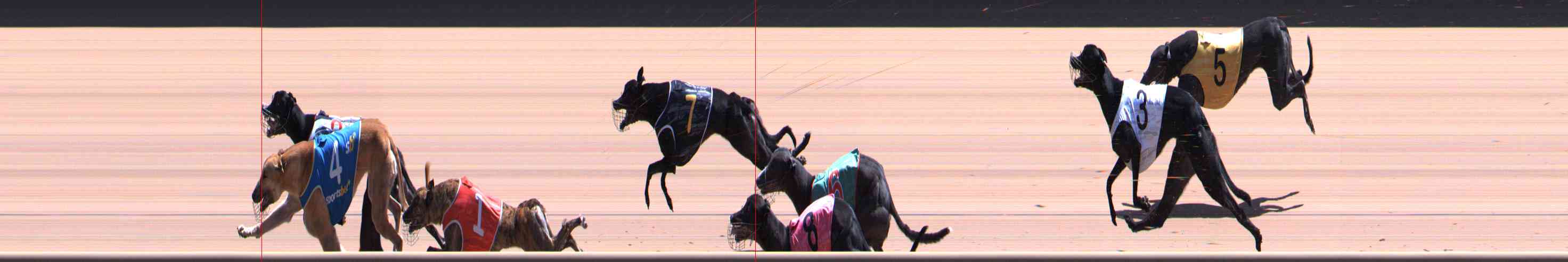 Photo finish for Healesville Race 10