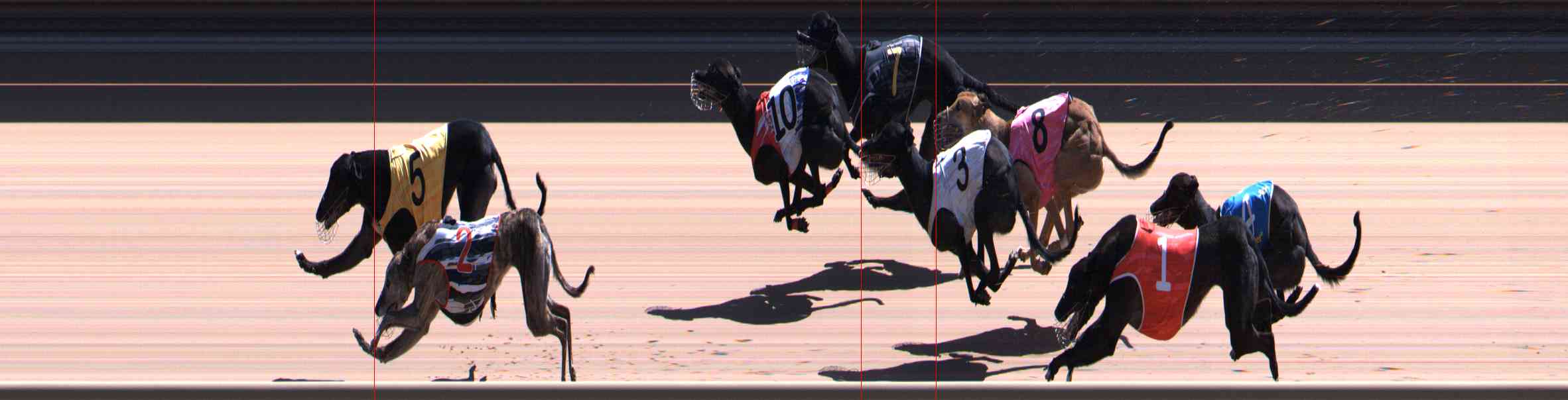 Photo finish for Healesville Race 11