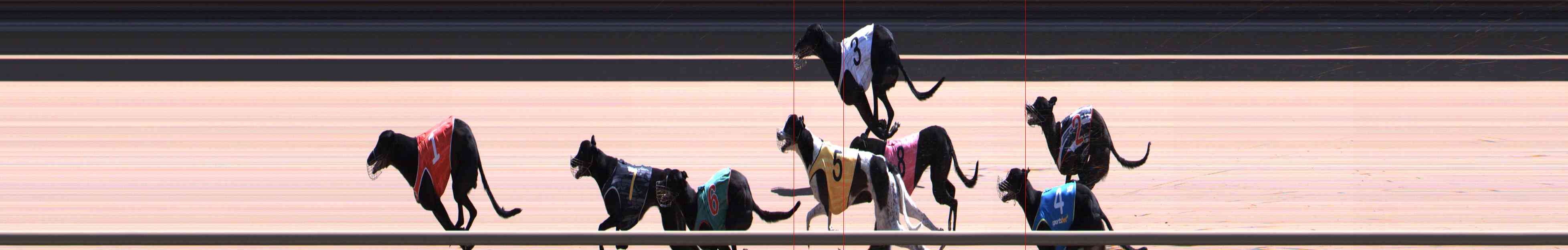 Photo finish for Healesville Race 12