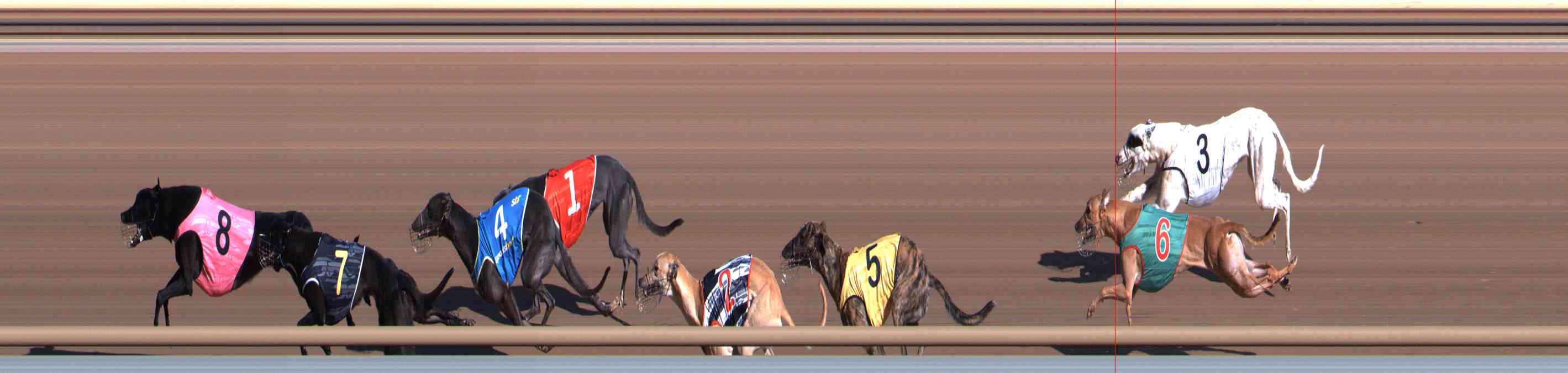 Photo finish for Healesville Race 1