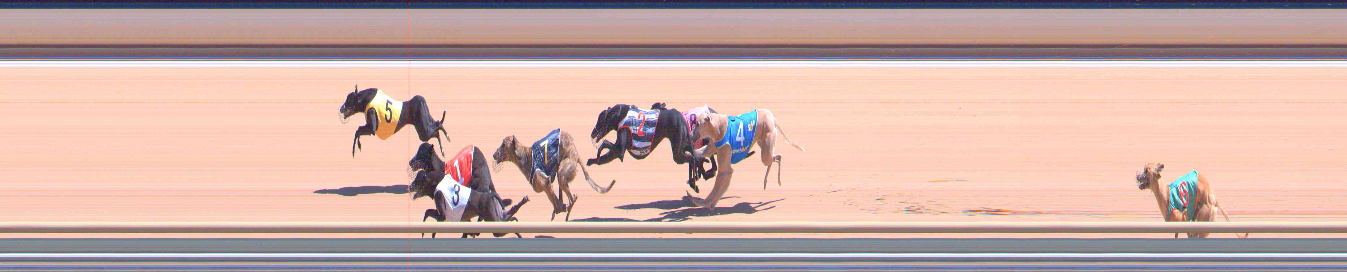 Photo finish for Healesville Race 10