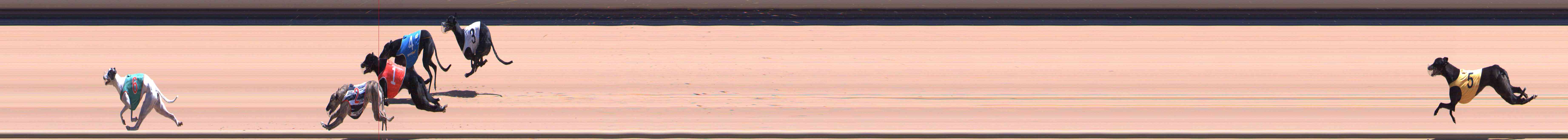 Photo finish for Healesville Race 11
