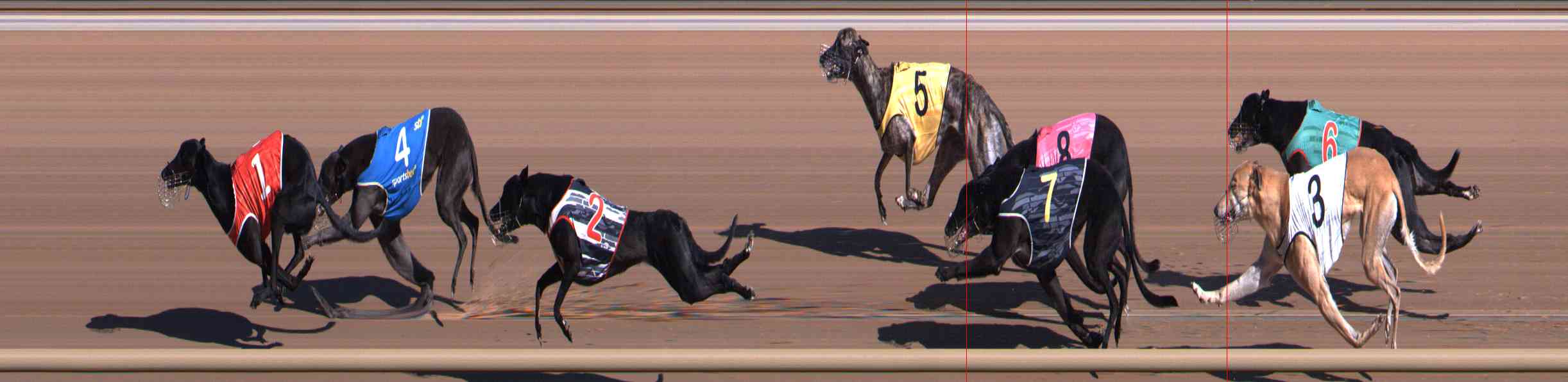 Photo finish for Healesville Race 2