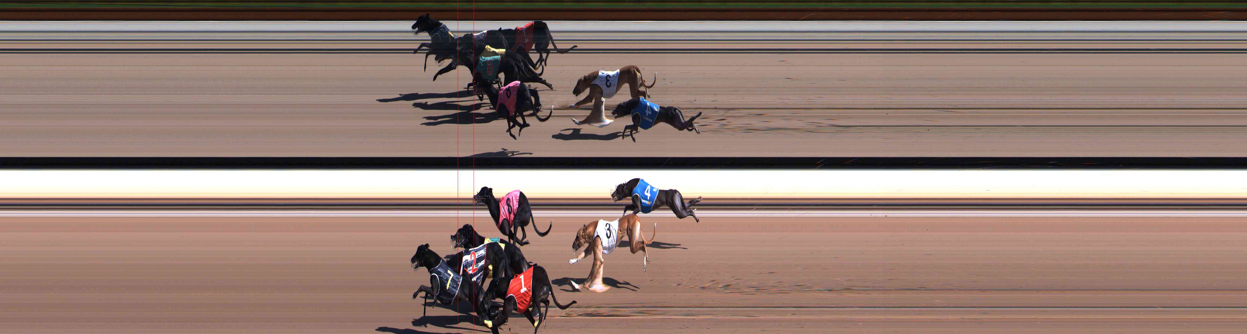 Photo finish for Healesville Race 3