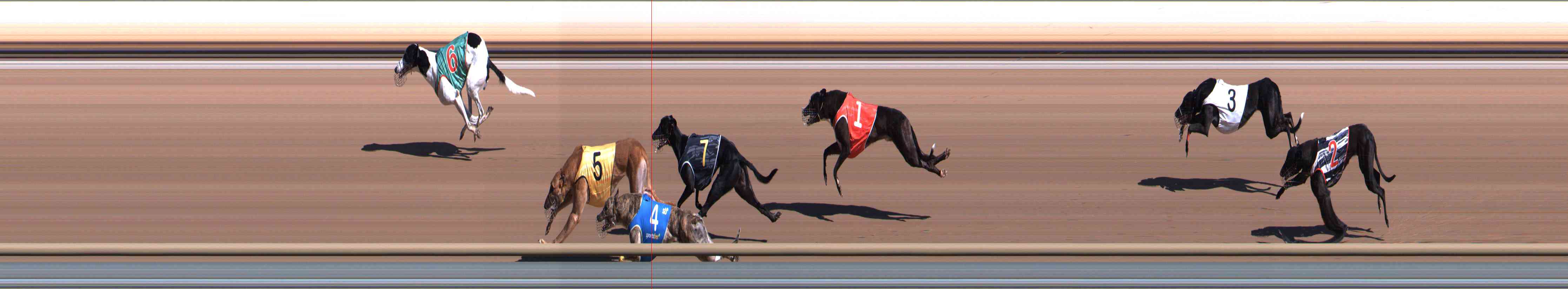 Photo finish for Healesville Race 4