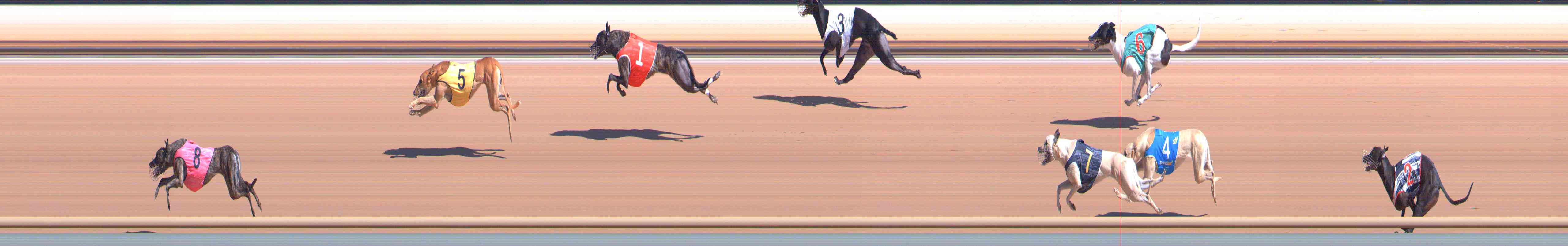 Photo finish for Healesville Race 5