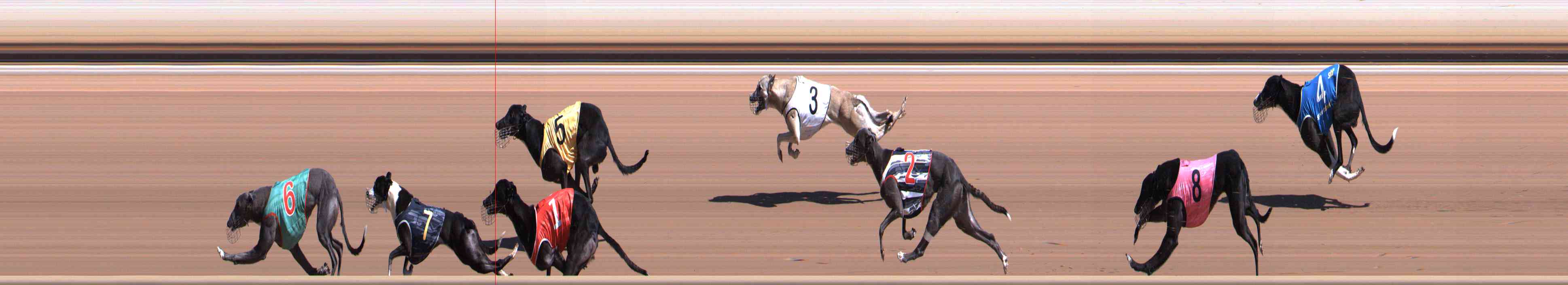 Photo finish for Healesville Race 6