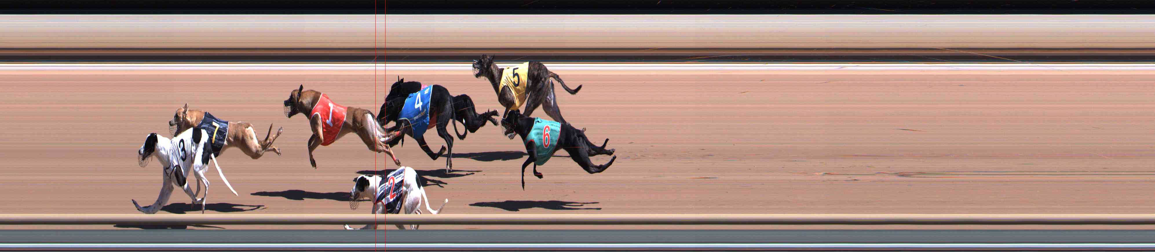 Photo finish for Healesville Race 7