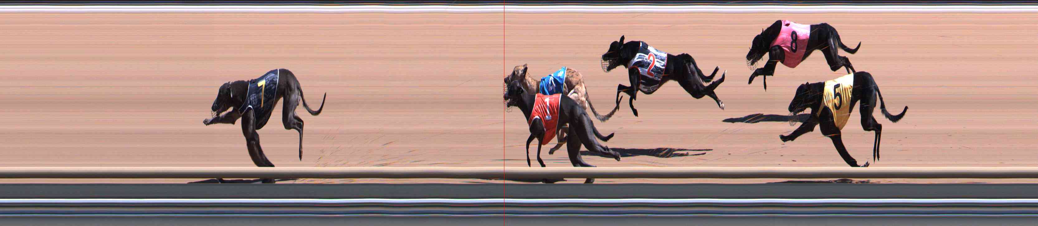 Photo finish for Healesville Race 9