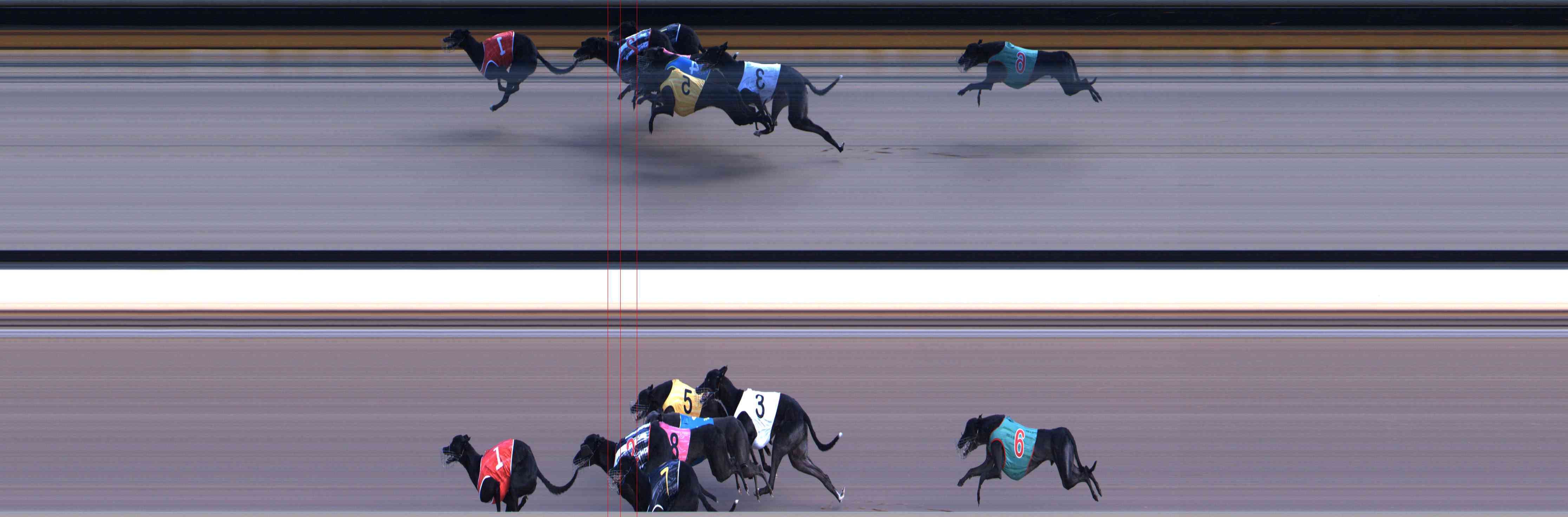 Photo finish for Healesville Race 1