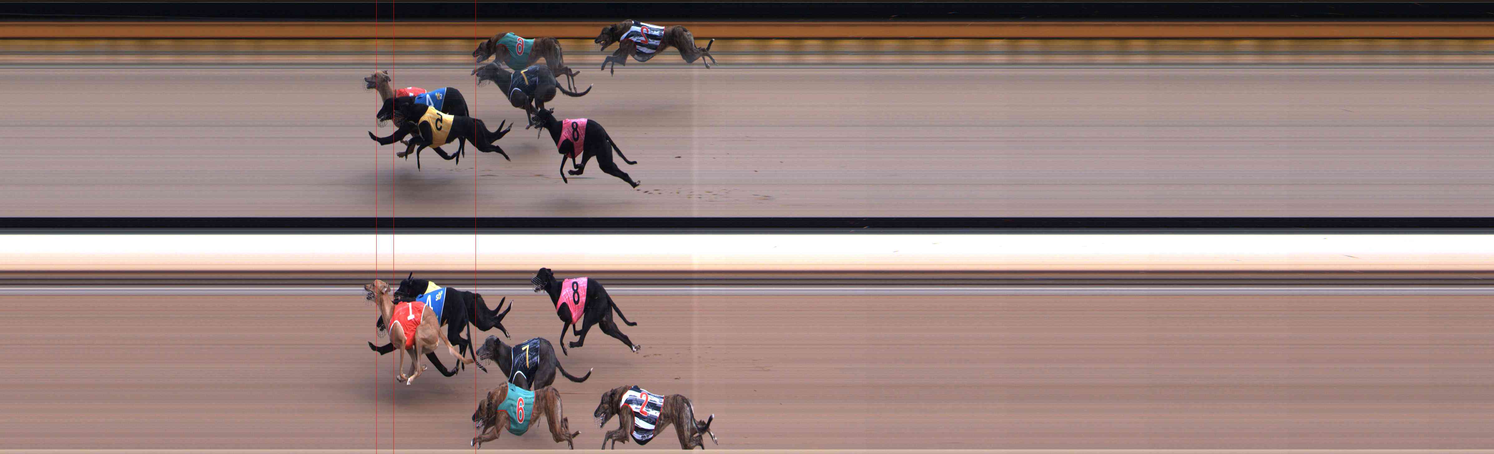 Photo finish for Healesville Race 3