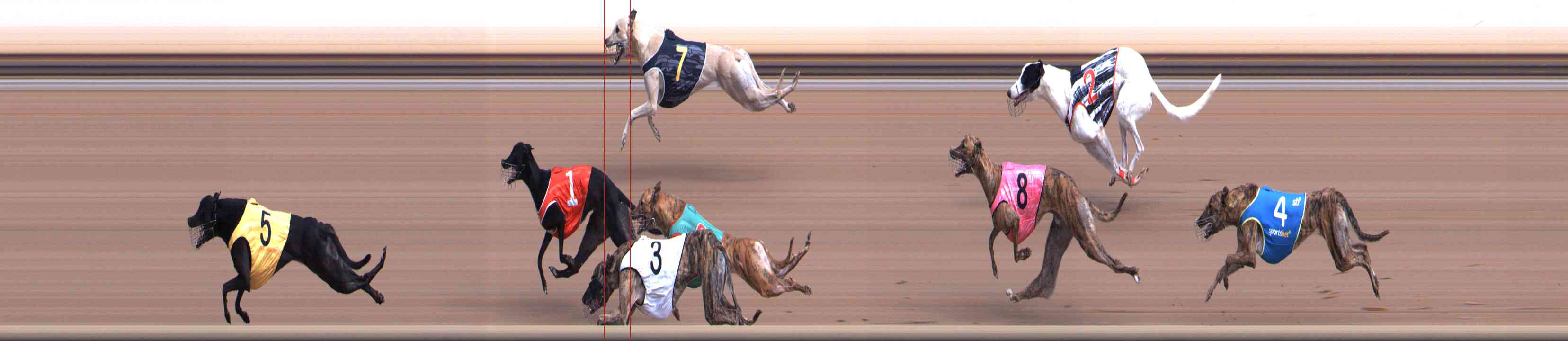 Photo finish for Healesville Race 4