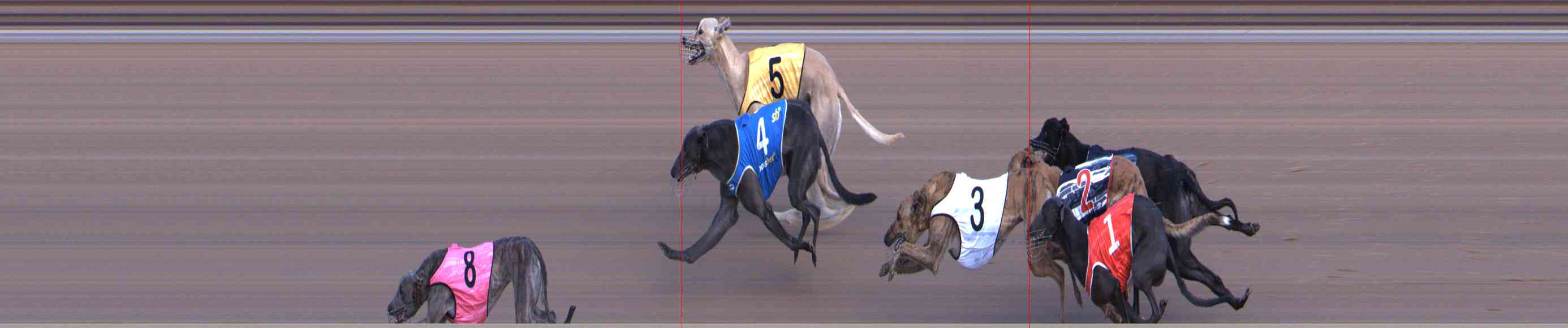 Photo finish for Healesville Race 5