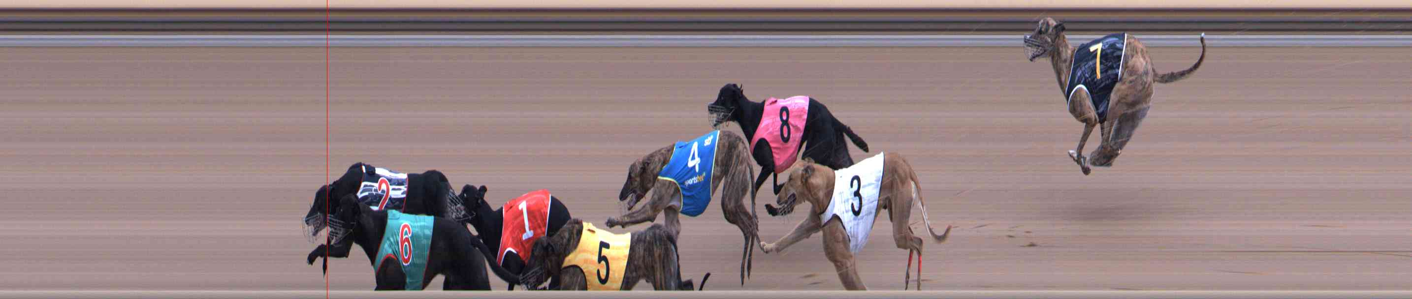 Photo finish for Healesville Race 6