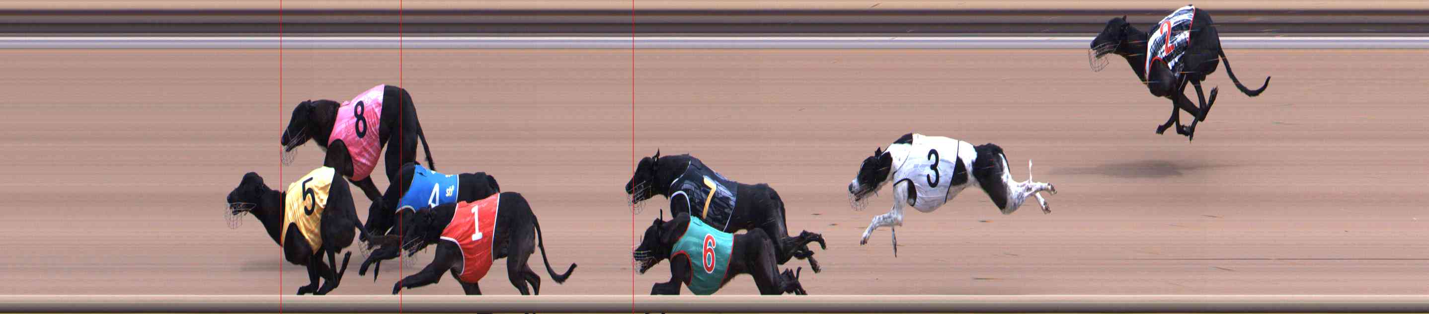 Photo finish for Healesville Race 7