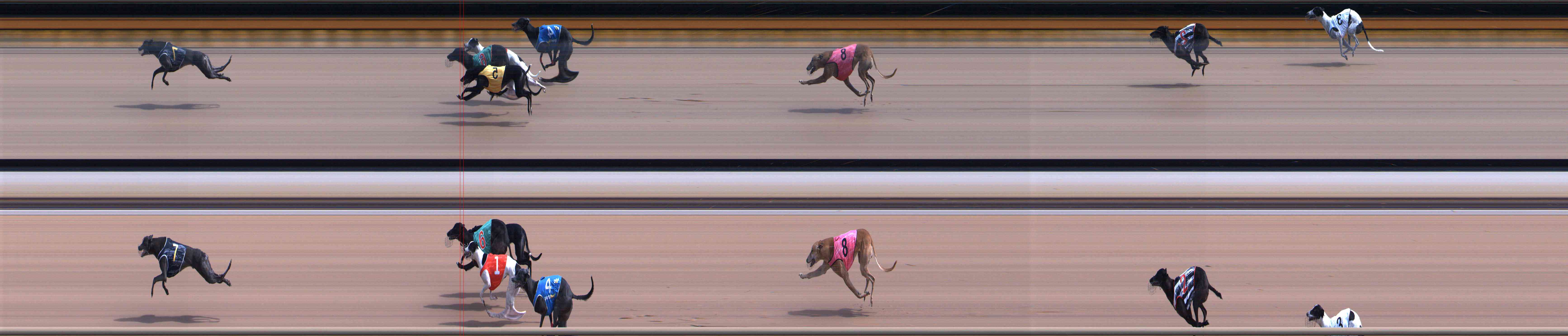 Photo finish for Healesville Race 8