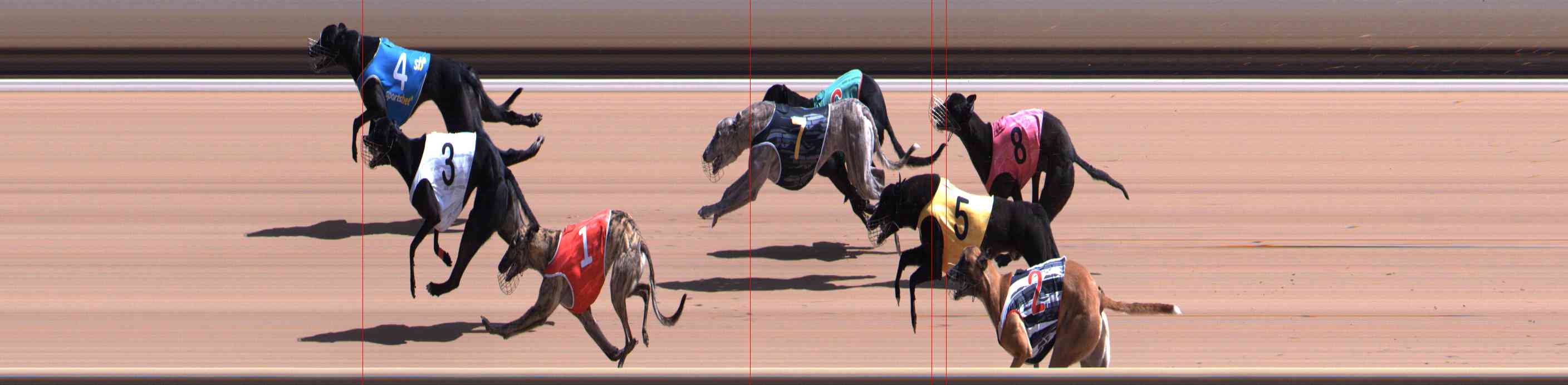 Photo finish for Healesville Race 9