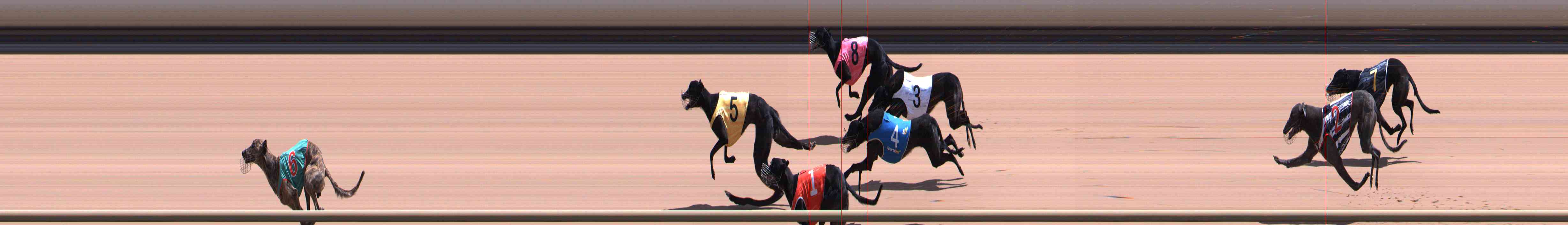 Photo finish for Healesville Race 10
