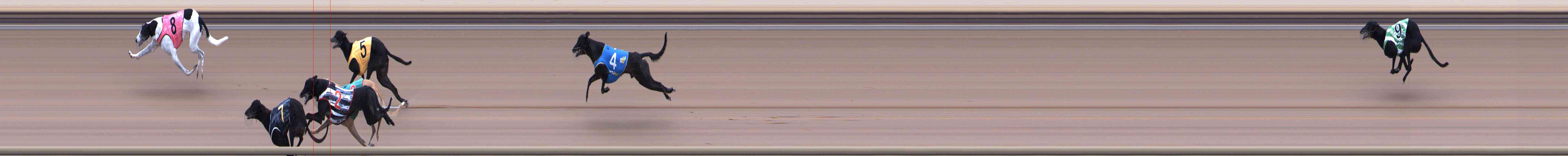 Photo finish for Healesville Race 11
