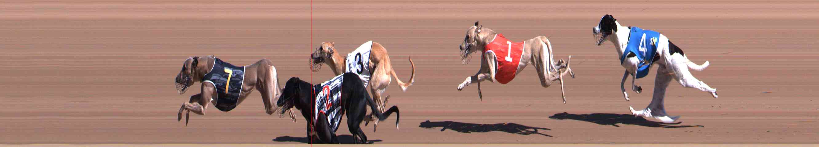 Photo finish for Healesville Race 1