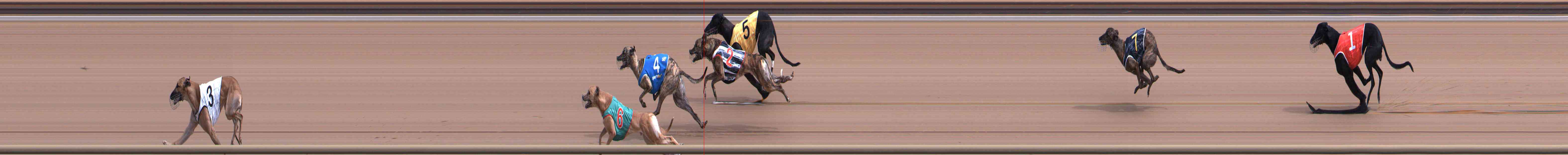 Photo finish for Healesville Race 3