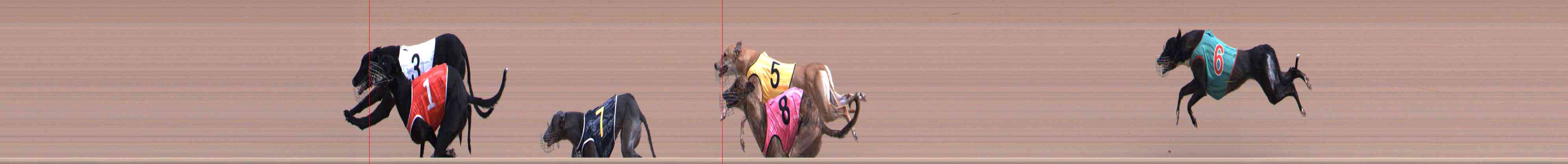 Photo finish for Healesville Race 4