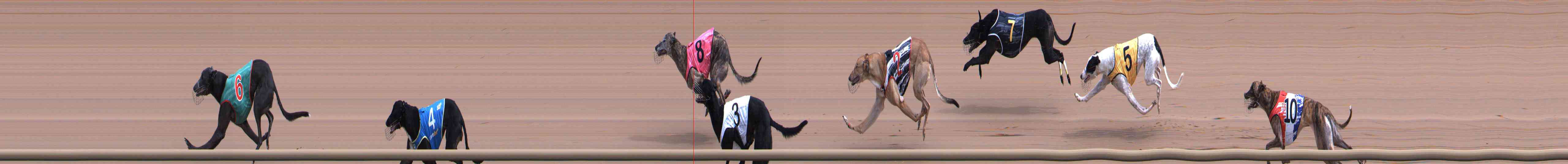 Photo finish for Healesville Race 5