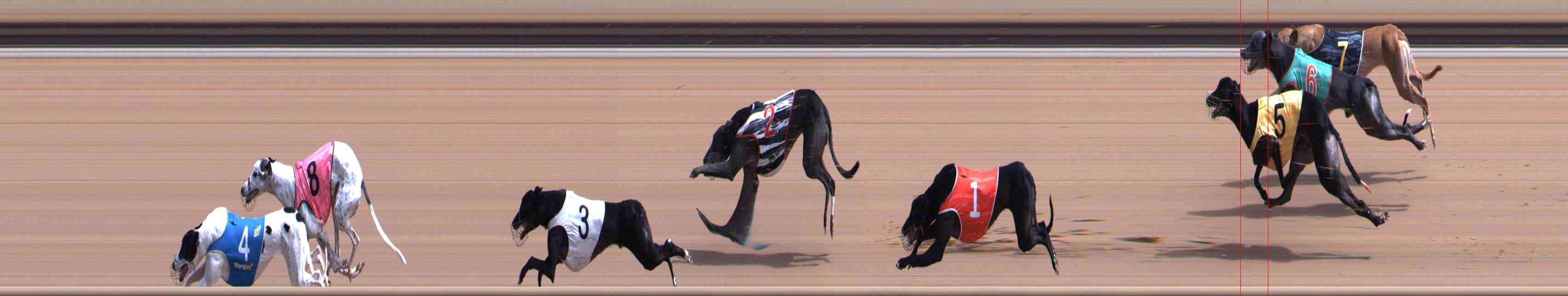 Photo finish for Healesville Race 6