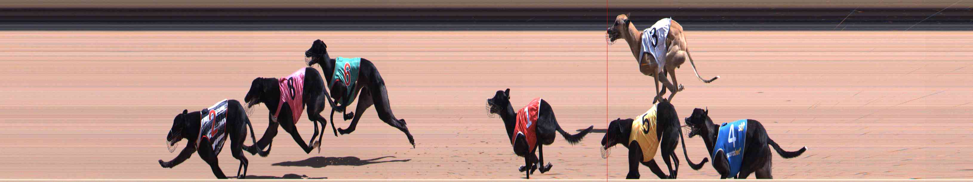 Photo finish for Healesville Race 7