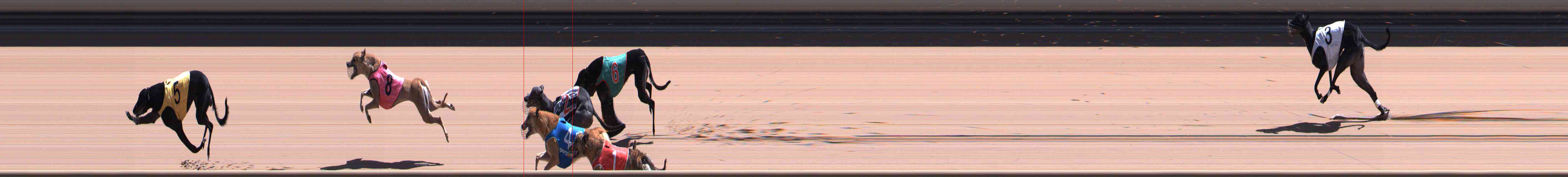 Photo finish for Healesville Race 9