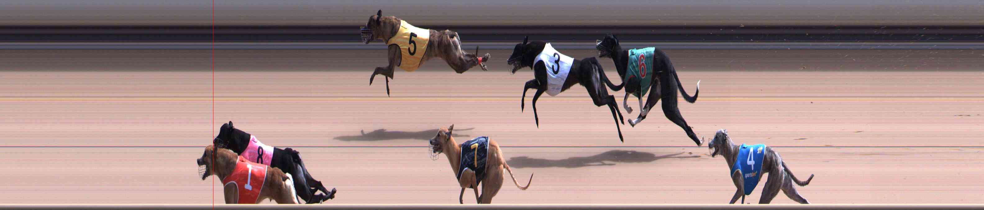 Photo finish for Healesville Race 10