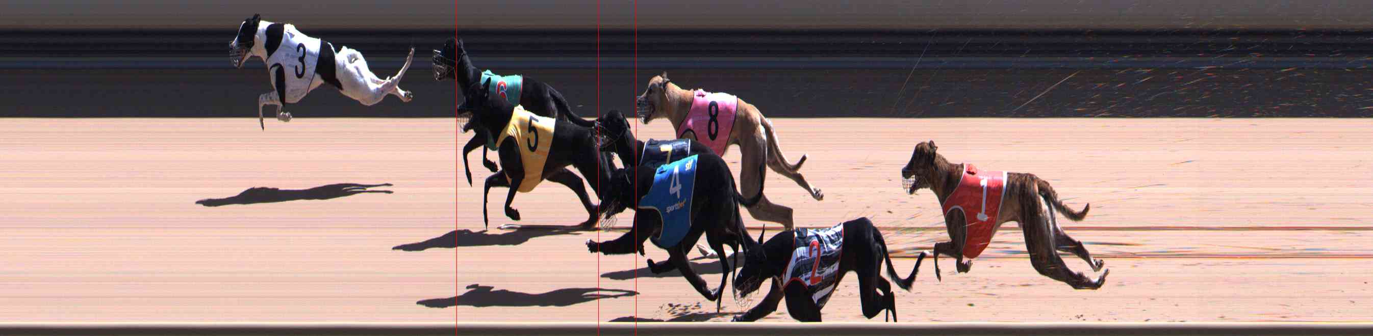 Photo finish for Healesville Race 11