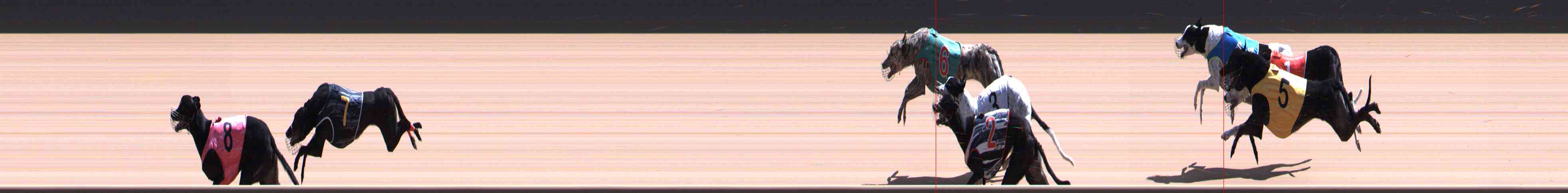 Photo finish for Healesville Race 12
