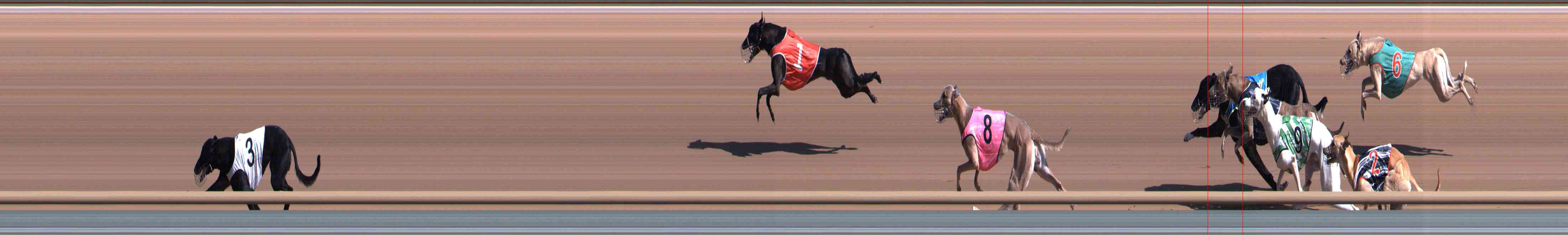 Photo finish for Healesville Race 1